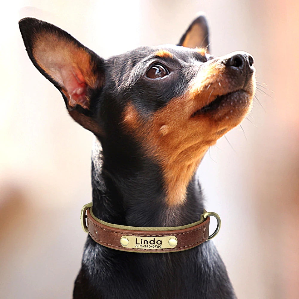 CUSTOMIZED 100% GENUINE LEATHER ENGRAVED DOG TAG COLLAR